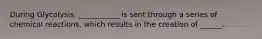 During Glycolysis, ___________ is sent through a series of chemical reactions, which results in the creation of ______.