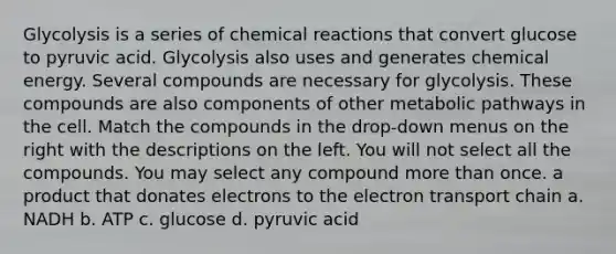 Glycolysis is a series of <a href='https://www.questionai.com/knowledge/kc6NTom4Ep-chemical-reactions' class='anchor-knowledge'>chemical reactions</a> that convert glucose to pyruvic acid. Glycolysis also uses and generates chemical energy. Several compounds are necessary for glycolysis. These compounds are also components of other metabolic pathways in the cell. Match the compounds in the drop-down menus on the right with the descriptions on the left. You will not select all the compounds. You may select any compound more than once. a product that donates electrons to <a href='https://www.questionai.com/knowledge/k57oGBr0HP-the-electron-transport-chain' class='anchor-knowledge'>the electron transport chain</a> a. NADH b. ATP c. glucose d. pyruvic acid