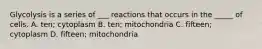 Glycolysis is a series of ___ reactions that occurs in the _____ of cells. A. ten; cytoplasm B. ten; mitochondria C. fifteen; cytoplasm D. fifteen; mitochondria