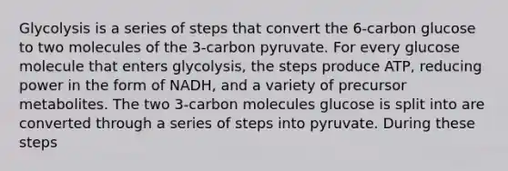 Glycolysis is a series of steps that convert the 6-carbon glucose to two molecules of the 3-carbon pyruvate. For every glucose molecule that enters glycolysis, the steps produce ATP, reducing power in the form of NADH, and a variety of precursor metabolites. The two 3-carbon molecules glucose is split into are converted through a series of steps into pyruvate. During these steps