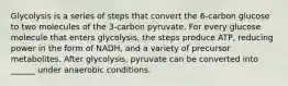 Glycolysis is a series of steps that convert the 6-carbon glucose to two molecules of the 3-carbon pyruvate. For every glucose molecule that enters glycolysis, the steps produce ATP, reducing power in the form of NADH, and a variety of precursor metabolites. After glycolysis, pyruvate can be converted into ______ under anaerobic conditions.