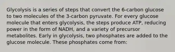 Glycolysis is a series of steps that convert the 6-carbon glucose to two molecules of the 3-carbon pyruvate. For every glucose molecule that enters glycolysis, the steps produce ATP, reducing power in the form of NADH, and a variety of precursor metabolites. Early in glycolysis, two phosphates are added to the glucose molecule. These phosphates come from: