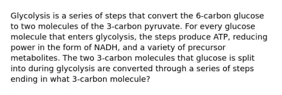 Glycolysis is a series of steps that convert the 6-carbon glucose to two molecules of the 3-carbon pyruvate. For every glucose molecule that enters glycolysis, the steps produce ATP, reducing power in the form of NADH, and a variety of precursor metabolites. The two 3-carbon molecules that glucose is split into during glycolysis are converted through a series of steps ending in what 3-carbon molecule?