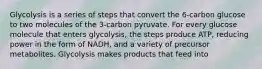 Glycolysis is a series of steps that convert the 6-carbon glucose to two molecules of the 3-carbon pyruvate. For every glucose molecule that enters glycolysis, the steps produce ATP, reducing power in the form of NADH, and a variety of precursor metabolites. Glycolysis makes products that feed into