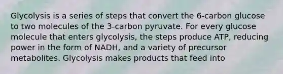 Glycolysis is a series of steps that convert the 6-carbon glucose to two molecules of the 3-carbon pyruvate. For every glucose molecule that enters glycolysis, the steps produce ATP, reducing power in the form of NADH, and a variety of precursor metabolites. Glycolysis makes products that feed into