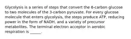 Glycolysis is a series of steps that convert the 6-carbon glucose to two molecules of the 3-carbon pyruvate. For every glucose molecule that enters glycolysis, the steps produce ATP, reducing power in the form of NADH, and a variety of precursor metabolites. The terminal electron acceptor in aerobic respiration is ______.