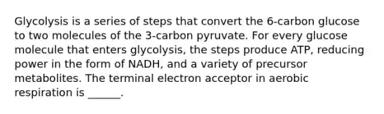 Glycolysis is a series of steps that convert the 6-carbon glucose to two molecules of the 3-carbon pyruvate. For every glucose molecule that enters glycolysis, the steps produce ATP, reducing power in the form of NADH, and a variety of precursor metabolites. The terminal electron acceptor in aerobic respiration is ______.