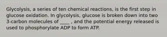 Glycolysis, a series of ten chemical reactions, is the first step in glucose oxidation. In glycolysis, glucose is broken down into two 3-carbon molecules of ____ , and the potential energy released is used to phosphorylate ADP to form ATP.