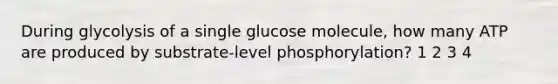 During glycolysis of a single glucose molecule, how many ATP are produced by substrate-level phosphorylation? 1 2 3 4