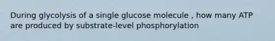 During glycolysis of a single glucose molecule , how many ATP are produced by substrate-level phosphorylation