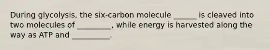 During glycolysis, the six-carbon molecule ______ is cleaved into two molecules of _________, while energy is harvested along the way as ATP and __________.