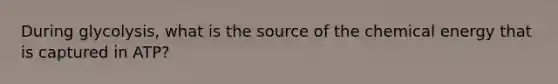 During glycolysis, what is the source of the chemical energy that is captured in ATP?