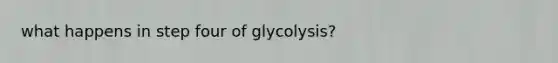 what happens in step four of glycolysis?