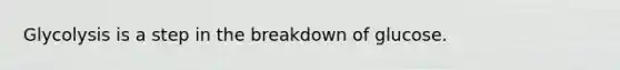 Glycolysis is a step in the breakdown of glucose.