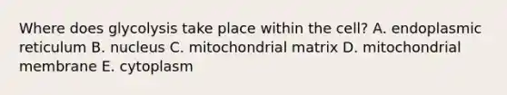 Where does glycolysis take place within the cell? A. endoplasmic reticulum B. nucleus C. mitochondrial matrix D. mitochondrial membrane E. cytoplasm