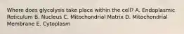 Where does glycolysis take place within the cell? A. Endoplasmic Reticulum B. Nucleus C. Mitochondrial Matrix D. Mitochondrial Membrane E. Cytoplasm