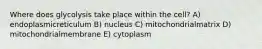 Where does glycolysis take place within the cell? A) endoplasmicreticulum B) nucleus C) mitochondrialmatrix D) mitochondrialmembrane E) cytoplasm