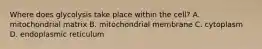 Where does glycolysis take place within the cell? A. mitochondrial matrix B. mitochondrial membrane C. cytoplasm D. endoplasmic reticulum