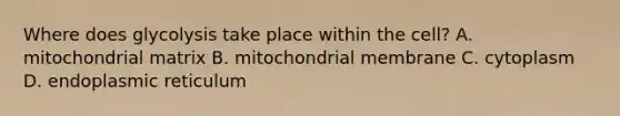 Where does glycolysis take place within the cell? A. mitochondrial matrix B. mitochondrial membrane C. cytoplasm D. endoplasmic reticulum