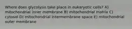 Where does glycolysis take place in eukaryotic cells? A) mitochondrial inner membrane B) mitochondrial matrix C) cytosol D) mitochondrial intermembrane space E) mitochondrial outer membrane
