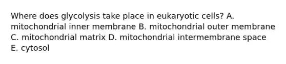 Where does glycolysis take place in eukaryotic cells? A. mitochondrial inner membrane B. mitochondrial outer membrane C. mitochondrial matrix D. mitochondrial intermembrane space E. cytosol