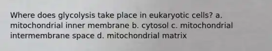 Where does glycolysis take place in eukaryotic cells? a. mitochondrial inner membrane b. cytosol c. mitochondrial intermembrane space d. mitochondrial matrix