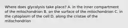 Where does glycolysis take place? A. in the inner compartment of the mitochondrion B. on the surface of the mitochondrion C. in the cytoplasm of the cell D. along the cristae of the mitochondrion