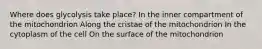 Where does glycolysis take place? In the inner compartment of the mitochondrion Along the cristae of the mitochondrion In the cytoplasm of the cell On the surface of the mitochondrion