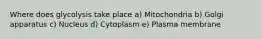 Where does glycolysis take place a) Mitochondria b) Golgi apparatus c) Nucleus d) Cytoplasm e) Plasma membrane