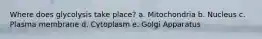 Where does glycolysis take place? a. Mitochondria b. Nucleus c. Plasma membrane d. Cytoplasm e. Golgi Apparatus