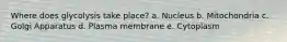 Where does glycolysis take place? a. Nucleus b. Mitochondria c. Golgi Apparatus d. Plasma membrane e. Cytoplasm