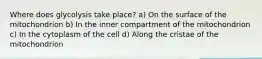 Where does glycolysis take place? a) On the surface of the mitochondrion b) In the inner compartment of the mitochondrion c) In the cytoplasm of the cell d) Along the cristae of the mitochondrion