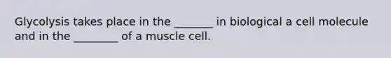 Glycolysis takes place in the _______ in biological a cell molecule and in the ________ of a muscle cell.