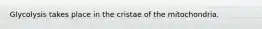Glycolysis takes place in the cristae of the mitochondria.