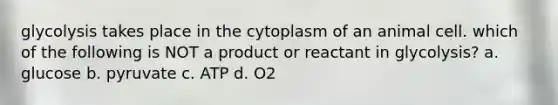 glycolysis takes place in the cytoplasm of an animal cell. which of the following is NOT a product or reactant in glycolysis? a. glucose b. pyruvate c. ATP d. O2