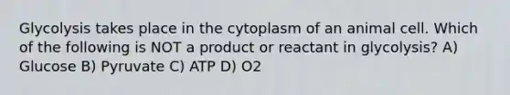 Glycolysis takes place in the cytoplasm of an animal cell. Which of the following is NOT a product or reactant in glycolysis? A) Glucose B) Pyruvate C) ATP D) O2