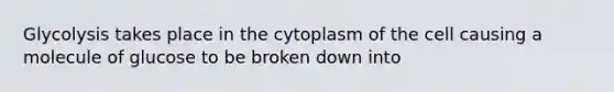 Glycolysis takes place in the cytoplasm of the cell causing a molecule of glucose to be broken down into