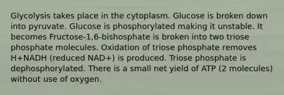 Glycolysis takes place in the cytoplasm. Glucose is broken down into pyruvate. Glucose is phosphorylated making it unstable. It becomes Fructose-1,6-bishosphate is broken into two triose phosphate molecules. Oxidation of triose phosphate removes H+NADH (reduced NAD+) is produced. Triose phosphate is dephosphorylated. There is a small net yield of ATP (2 molecules) without use of oxygen.