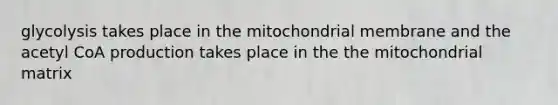 glycolysis takes place in the mitochondrial membrane and the acetyl CoA production takes place in the the mitochondrial matrix