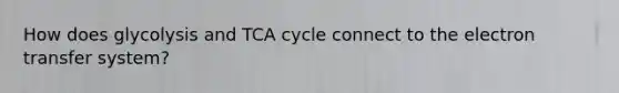 How does glycolysis and TCA cycle connect to the electron transfer system?