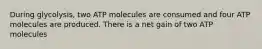 During glycolysis, two ATP molecules are consumed and four ATP molecules are produced. There is a net gain of two ATP molecules