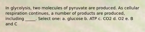 In glycolysis, two molecules of pyruvate are produced. As <a href='https://www.questionai.com/knowledge/k1IqNYBAJw-cellular-respiration' class='anchor-knowledge'>cellular respiration</a> continues, a number of products are produced, including _____. Select one: a. glucose b. ATP c. CO2 d. O2 e. B and C