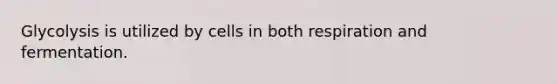 Glycolysis is utilized by cells in both respiration and fermentation.