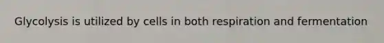 Glycolysis is utilized by cells in both respiration and fermentation