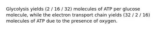 Glycolysis yields (2 / 16 / 32) molecules of ATP per glucose molecule, while the electron transport chain yields (32 / 2 / 16) molecules of ATP due to the presence of oxygen.