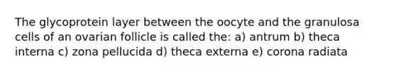 The glycoprotein layer between the oocyte and the granulosa cells of an ovarian follicle is called the: a) antrum b) theca interna c) zona pellucida d) theca externa e) corona radiata