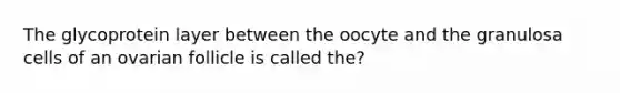 The glycoprotein layer between the oocyte and the granulosa cells of an ovarian follicle is called the?