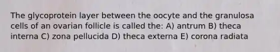 The glycoprotein layer between the oocyte and the granulosa cells of an ovarian follicle is called the: A) antrum B) theca interna C) zona pellucida D) theca externa E) corona radiata