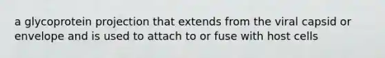 a glycoprotein projection that extends from the viral capsid or envelope and is used to attach to or fuse with host cells