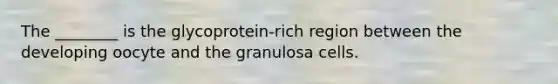 The ________ is the glycoprotein-rich region between the developing oocyte and the granulosa cells.